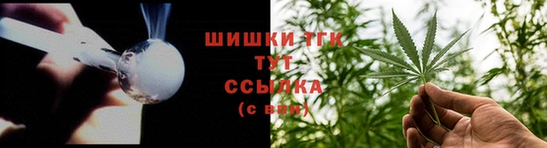 прущие грибы Беломорск