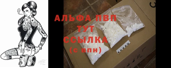 прущие грибы Беломорск