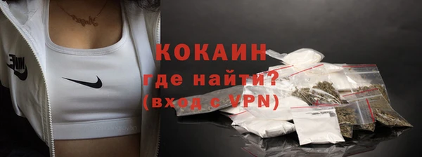 прущие грибы Беломорск