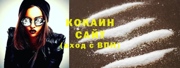 прущие грибы Беломорск