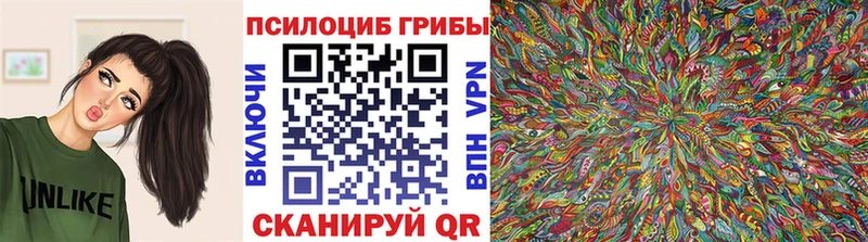 Псилоцибиновые грибы Cubensis  Харовск 